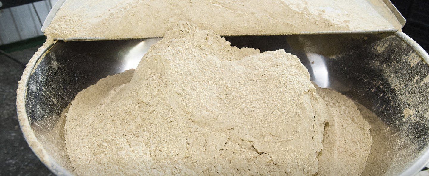 A large industrial bowl of milk powder.