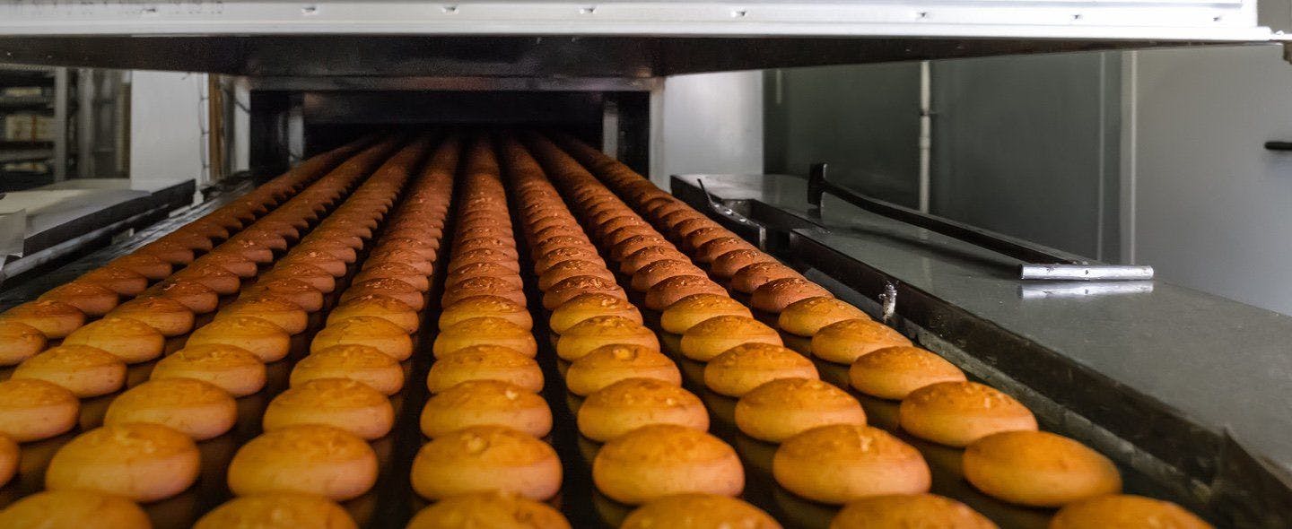 Biscuits running through a conveyor belt.