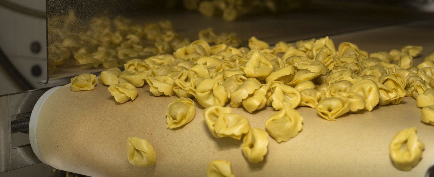 Pasta noodles on a production line.